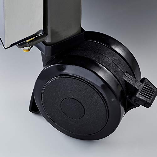 Weber Summit S-670 6-Burner Natural Gas Grill, Stainless Steel